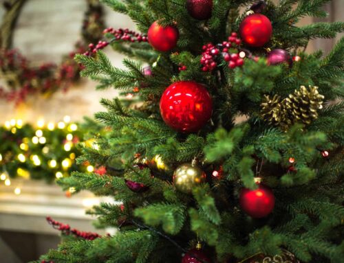 How to Acquire a Christmas Tree Without Leaving Your Home